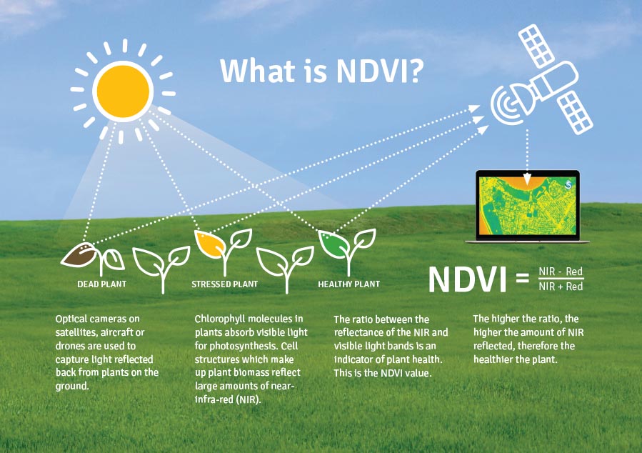 what-is-ndvi-graphic.jpg